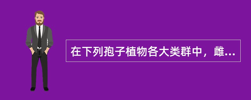 在下列孢子植物各大类群中，雌性生殖器官为颈卵器的是（）。