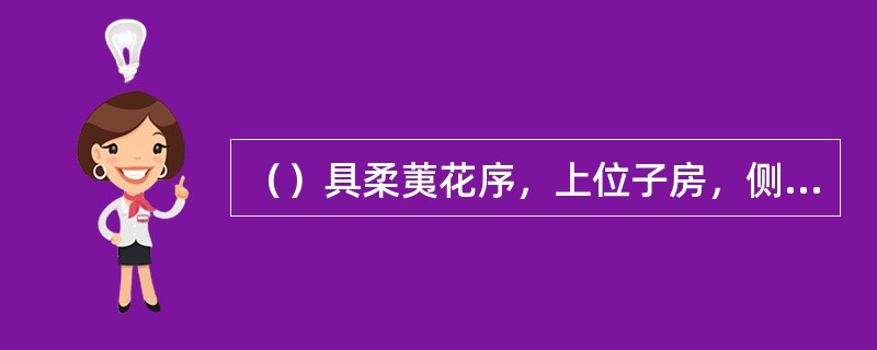 （）具柔荑花序，上位子房，侧膜胎座。