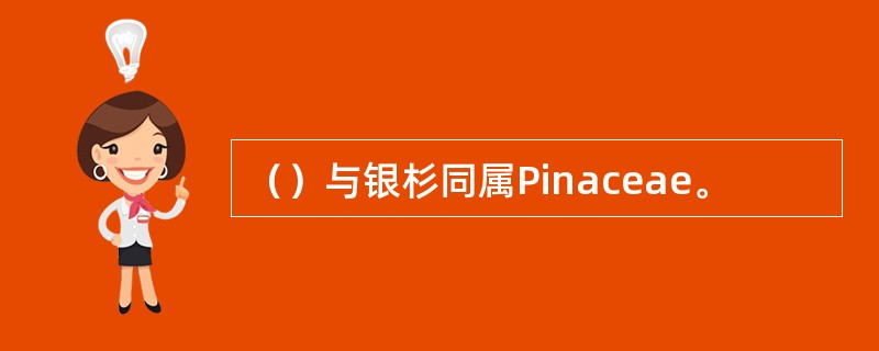 （）与银杉同属Pinaceae。