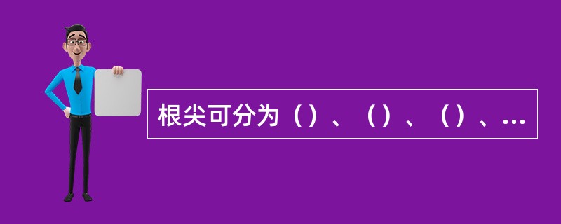 根尖可分为（）、（）、（）、（）四个区域，