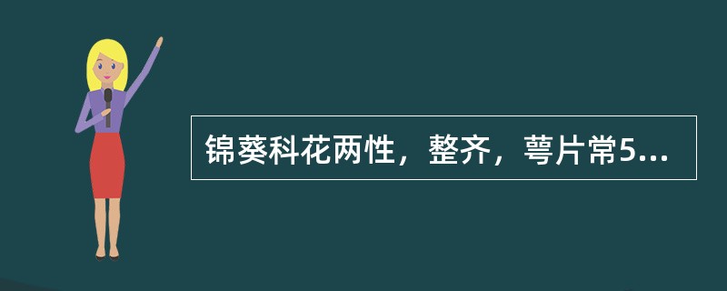 锦葵科花两性，整齐，萼片常5，具副萼；花瓣5，旋转状排列；雄蕊多数，花丝联合成管