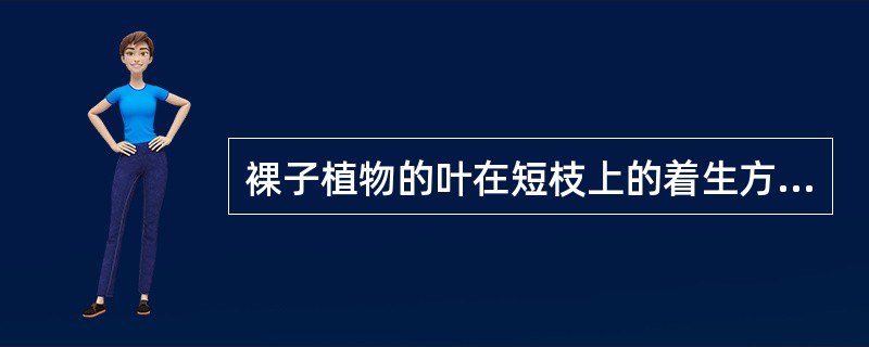 裸子植物的叶在短枝上的着生方式为（）。