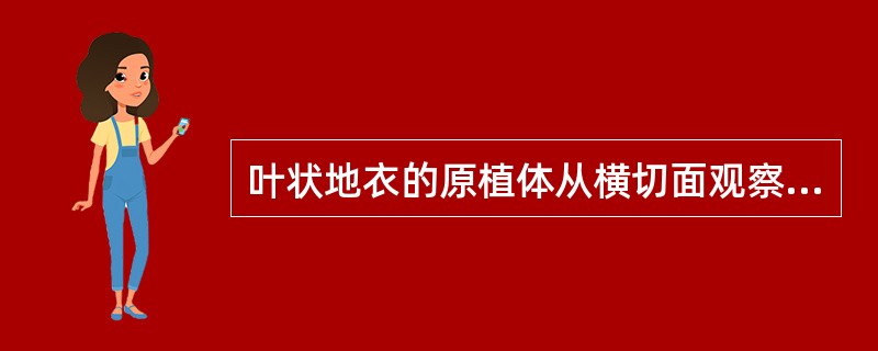 叶状地衣的原植体从横切面观察，是由（）、（）、（）和（）组成，这种结构类型是属于