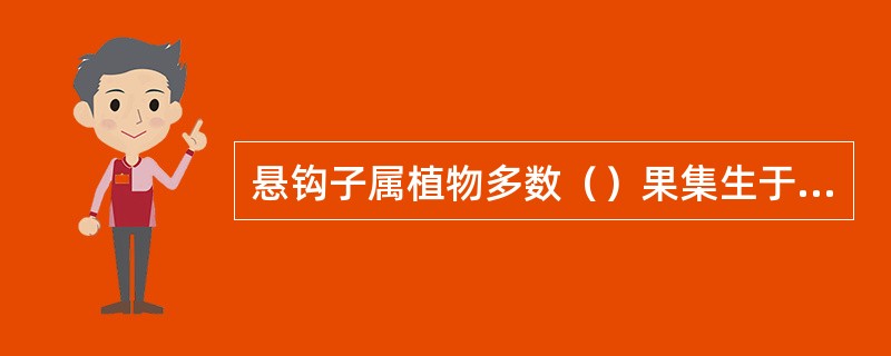 悬钩子属植物多数（）果集生于（）的（）上，构成（）。