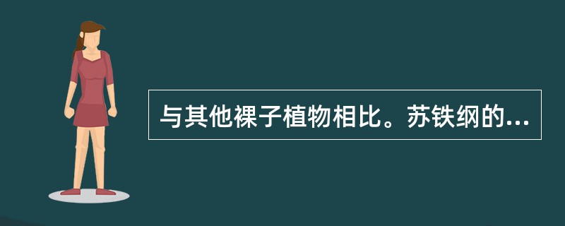 与其他裸子植物相比。苏铁纲的主要原始特征包括（）。