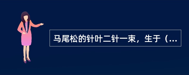 马尾松的针叶二针一束，生于（）。