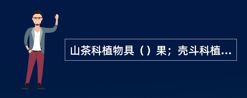 山茶科植物具（）果；壳斗科植物具（）果