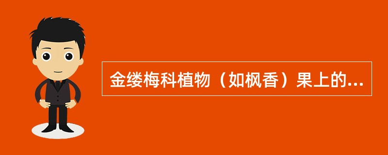 金缕梅科植物（如枫香）果上的2尖喙由（）发育而来。