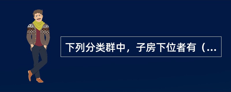 下列分类群中，子房下位者有（）。