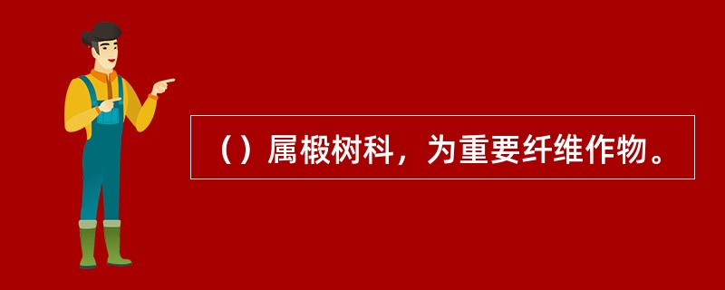 （）属椴树科，为重要纤维作物。
