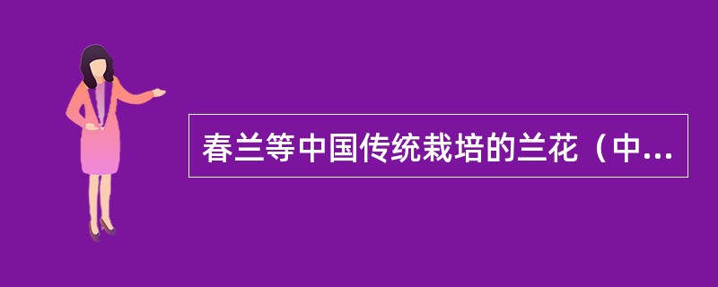 春兰等中国传统栽培的兰花（中国兰）属于（）。