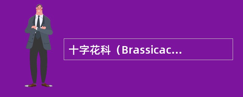 十字花科（Brassicaceae）的保留名是（）。