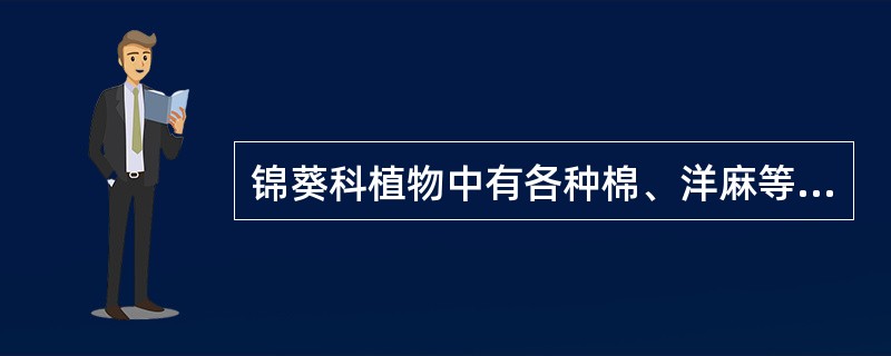 锦葵科植物中有各种棉、洋麻等纤维植物，其纤维是（）。