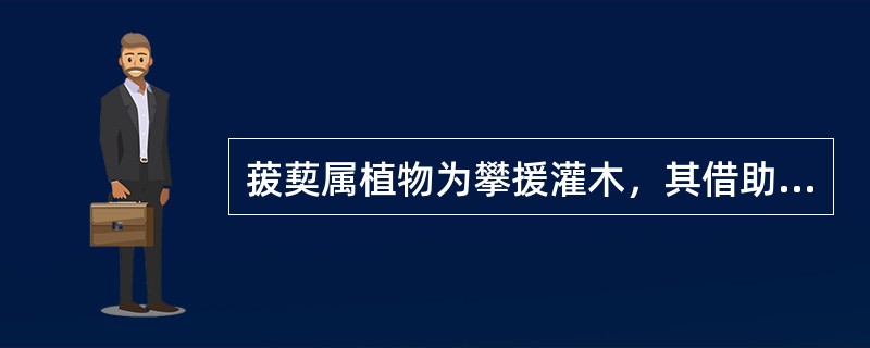 菝葜属植物为攀援灌木，其借助卷须攀援。卷须是变态的（）。