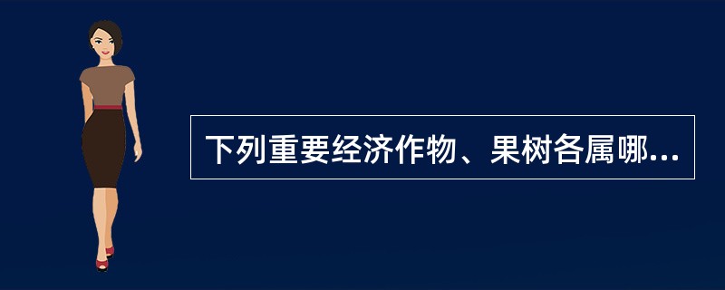 下列重要经济作物、果树各属哪个科：柿：（），冬瓜：（），陆地棉：（），茶：（），