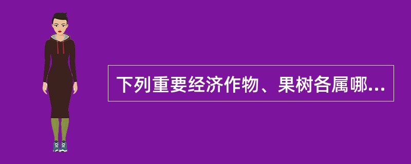 下列重要经济作物、果树各属哪个科：油茶：（），油菜：（）。