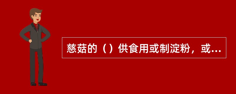 慈菇的（）供食用或制淀粉，或药用。