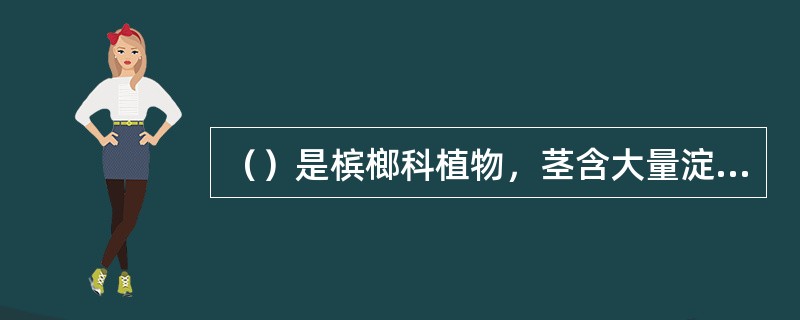 （）是槟榔科植物，茎含大量淀粉。