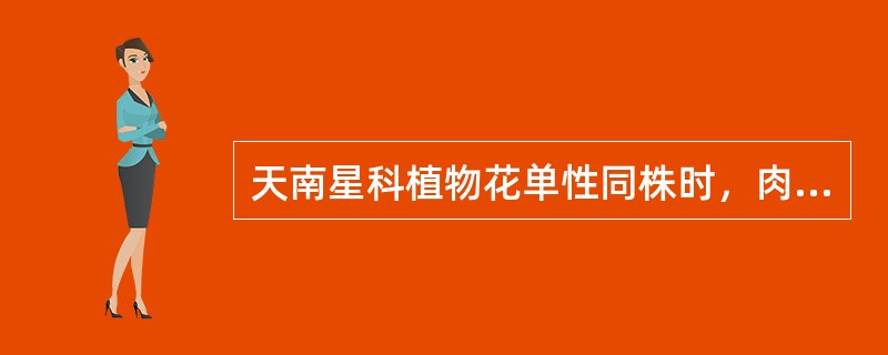 天南星科植物花单性同株时，肉穗花序中各类花的位置通常为（）在上部，在下部（）或（