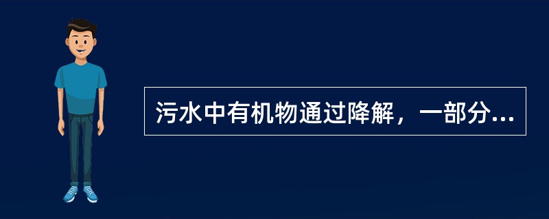 污水中有机物通过降解，一部分氧化分解形成（），一部分合成细胞质成（）。