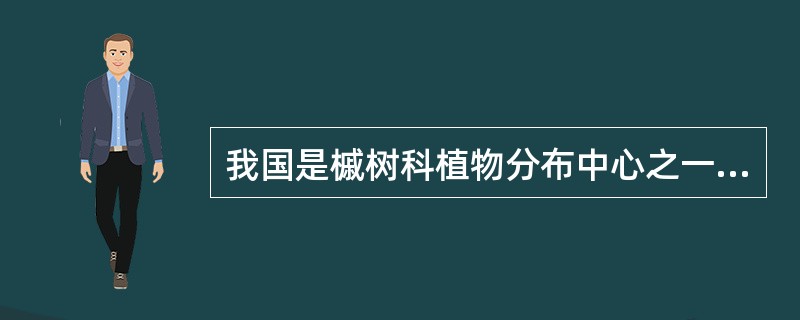 我国是槭树科植物分布中心之一。槭树属植物秋叶多红艳或呈鲜黄色，常栽为庭园树和行道