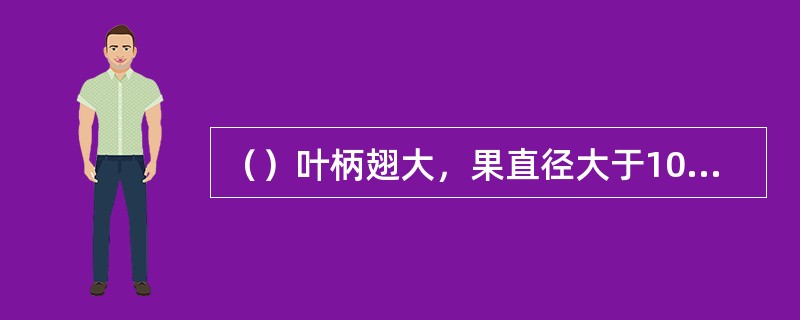 （）叶柄翅大，果直径大于10厘米。