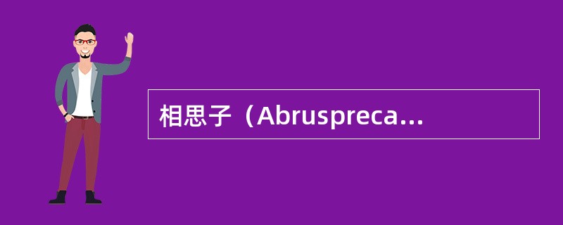 相思子（Abrusprecatiorius）有时也称“红豆”，木质藤本。种子上端