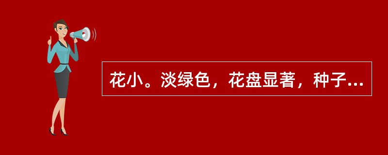 花小。淡绿色，花盘显著，种子有肉质假种皮，具这些特征的植物属（）。