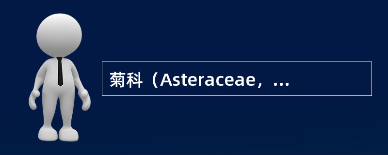 菊科（Asteraceae，Compositae）的模式属是（）。