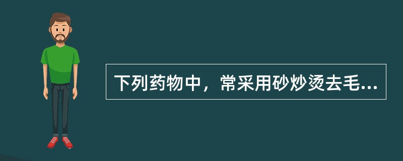 下列药物中，常采用砂炒烫去毛的是（）