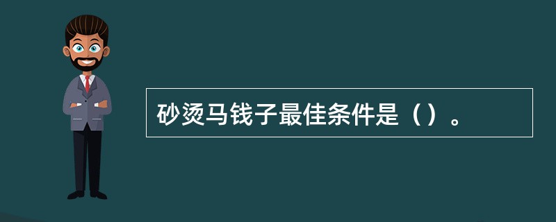 砂烫马钱子最佳条件是（）。