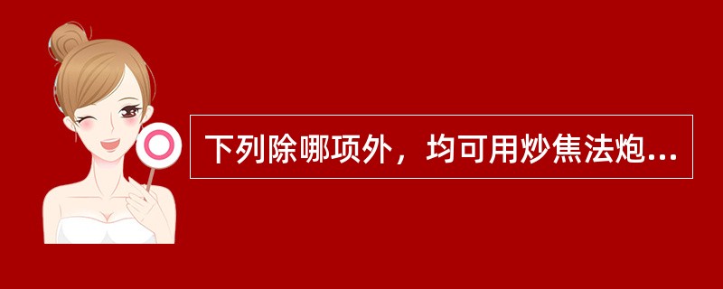 下列除哪项外，均可用炒焦法炮制（）。