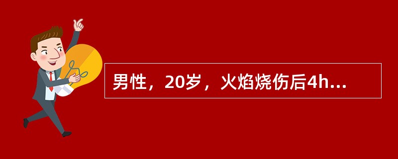 男性，20岁，火焰烧伤后4h，未出现休克，对该患者进行转运时的体位应为（）。