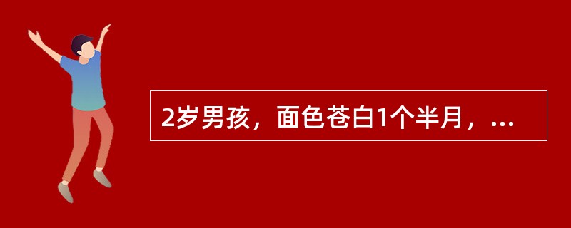 2岁男孩，面色苍白1个半月，间有低热，近周来见皮下有瘀斑。体查：面色苍白，双颈可