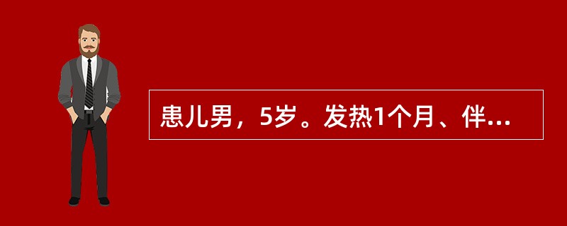 患儿男，5岁。发热1个月、伴双下肢疼痛一周入院。体检：体温38.5℃，面色苍白，