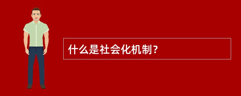 什么是社会化机制？