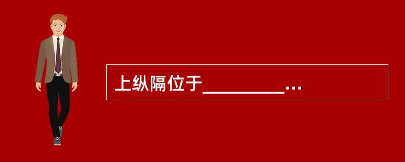 上纵隔位于_________至_________的连线以上，相当于主动脉弓水平面
