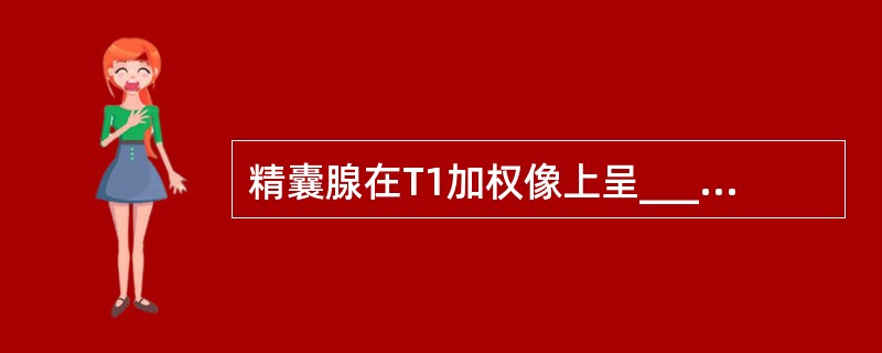 精囊腺在T1加权像上呈_______信号，T2加权像上呈_______信号。