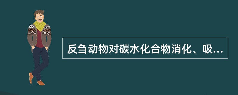 反刍动物对碳水化合物消化、吸收特点。