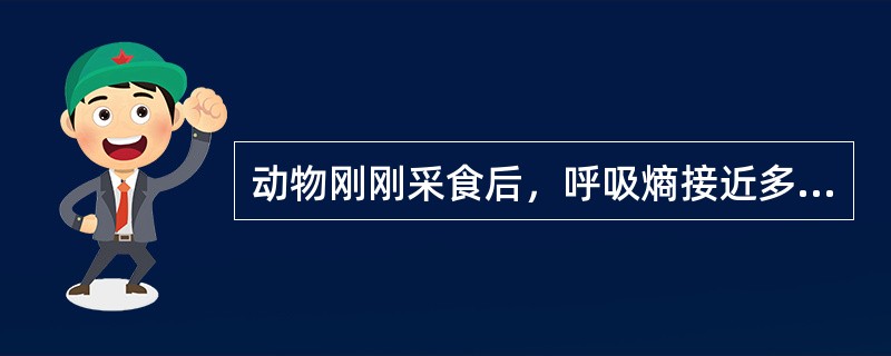 动物刚刚采食后，呼吸熵接近多少？