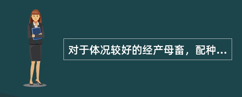 对于体况较好的经产母畜，配种前可按照维持需要进行饲养。