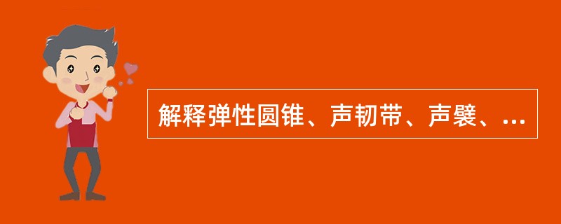 解释弹性圆锥、声韧带、声襞、声门裂的含义。