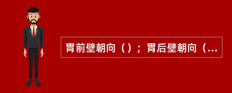 胃前壁朝向（）；胃后壁朝向（）。