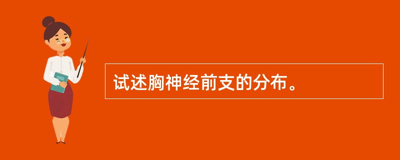 试述胸神经前支的分布。