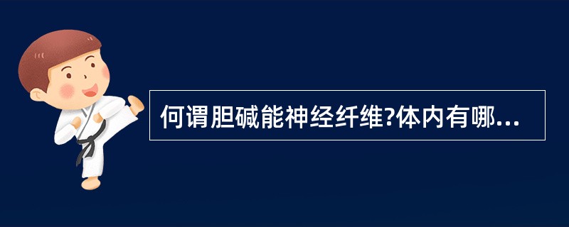 何谓胆碱能神经纤维?体内有哪些胆碱能神经纤维?