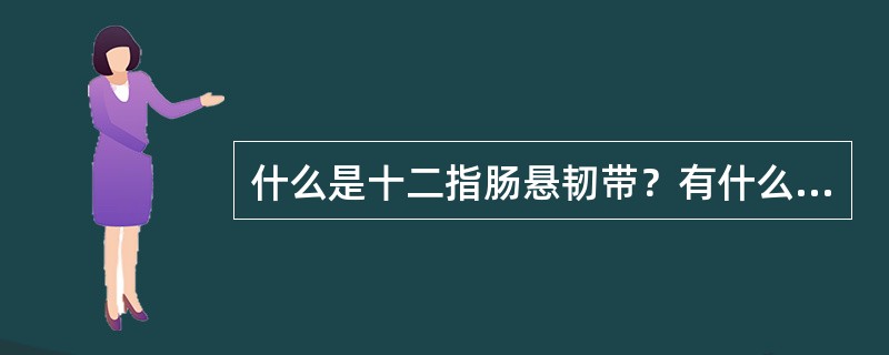 什么是十二指肠悬韧带？有什么临床意义？