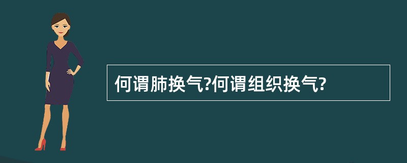 何谓肺换气?何谓组织换气?