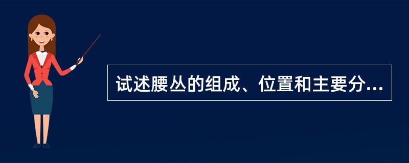 试述腰丛的组成、位置和主要分支。