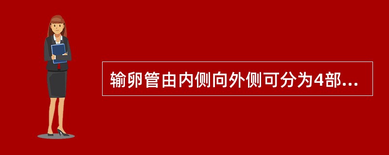 输卵管由内侧向外侧可分为4部，即（）、（）、（）、（）。