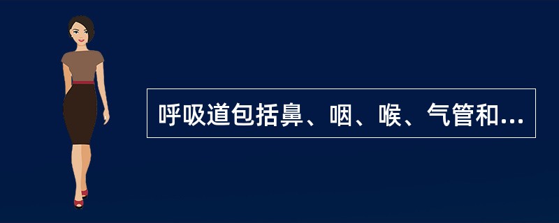 呼吸道包括鼻、咽、喉、气管和各级支气管。其中下呼吸道包括气管和（）。